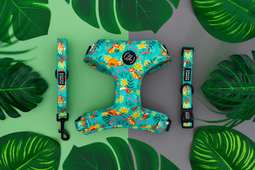 Jungle Bundle